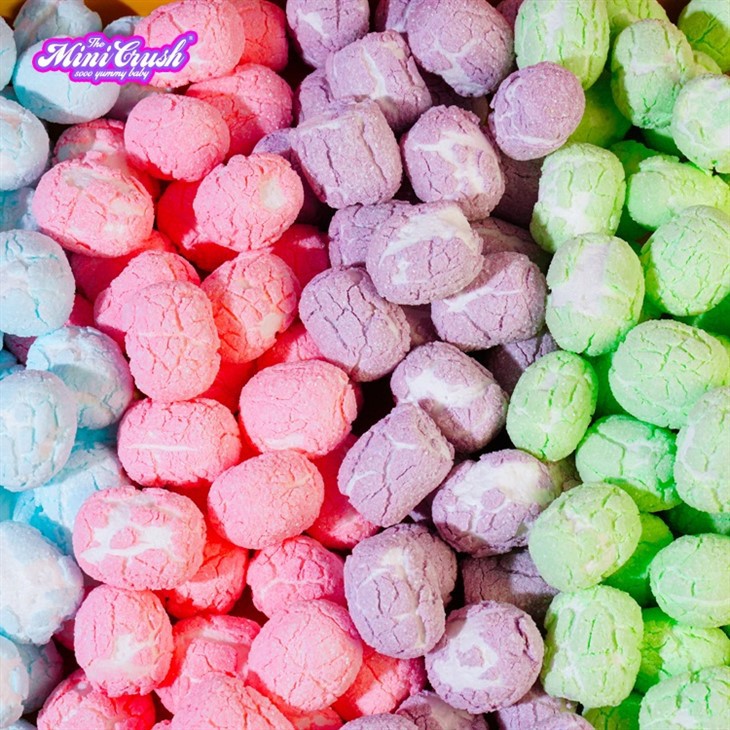 Freeze Dried Sour Pebbles suppliers