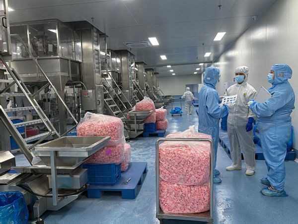 Bulk Supply of Freeze-Dried Strawberry Ice Cream